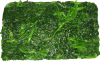 Frozen Spinach