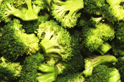 iqf broccoli broccoli florets