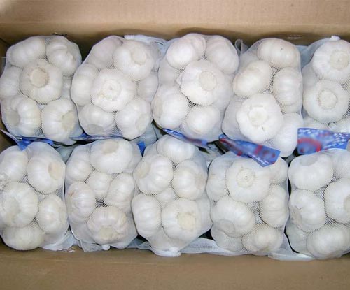 Supply China exports pure  white fresh garlic