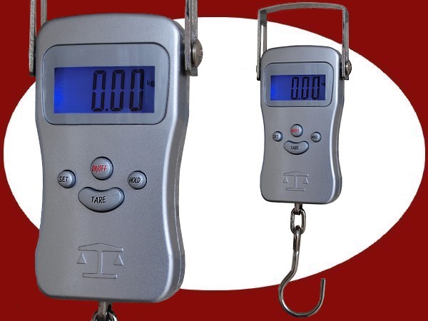 digital hanging scale