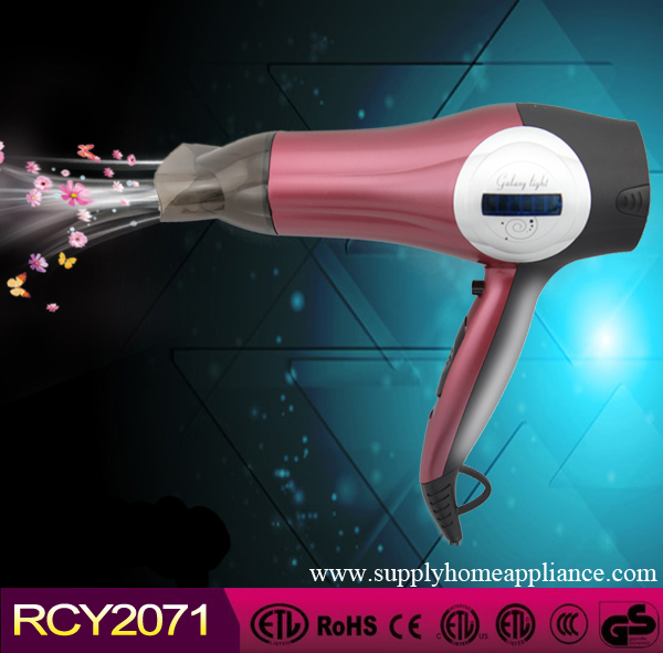 2014 Newest Professional Hair Blow Dryer Price