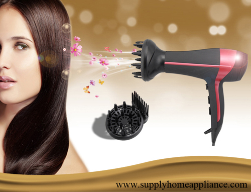 Pro Hair Dryer for Beauty Salon