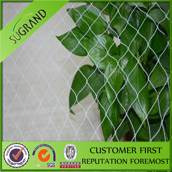 HDPE material with UV stabilizer orchards anti bird net