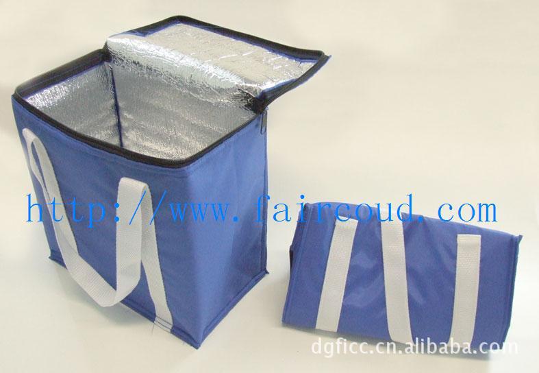 Picnic Cooler Bag for Frozen Food 