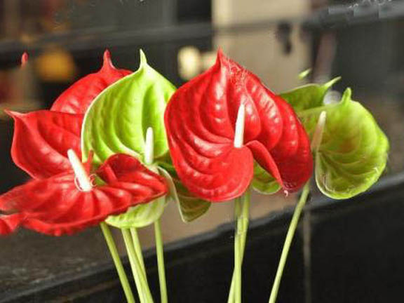 Artificial flower PU anthurium