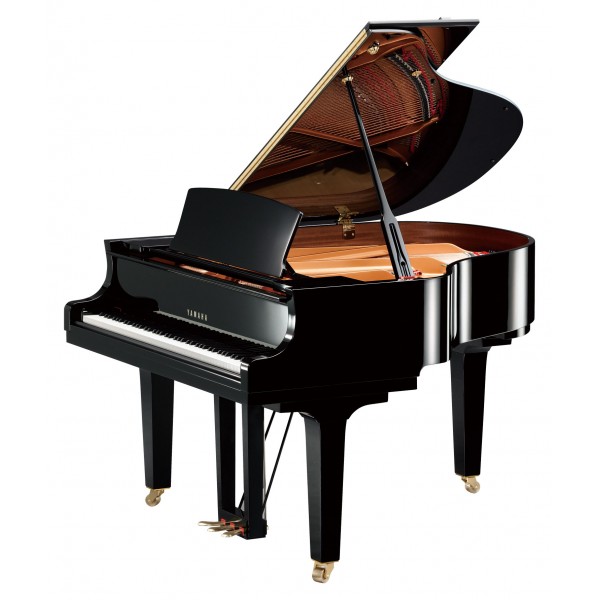 New Yamaha C1X Grand Piano 