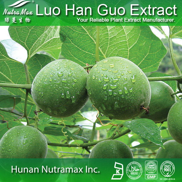 Luo Han Guo Extract(sales06@nutra-max.com)