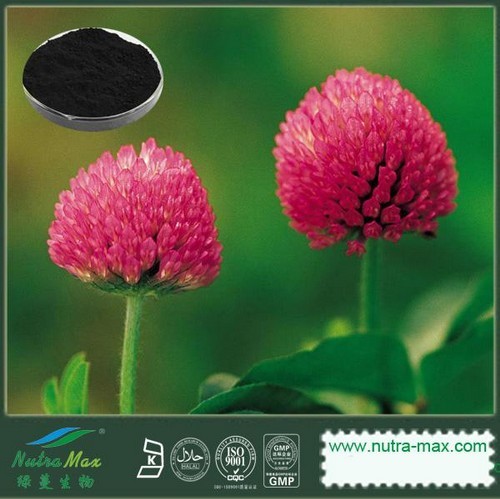 Red Clover Extract 20% Isoflavones(sales06@nutra-max.com)