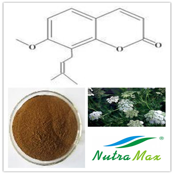 Common Cnidium Fruit P.E. 30% Osthole(sales06@nutra-max.com)