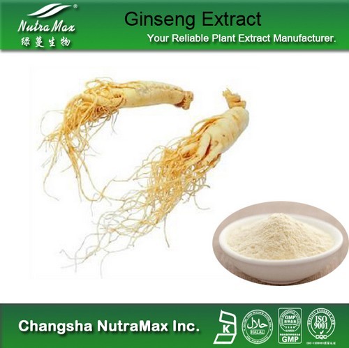 Ginseng Root Extract 80% Ginsenosides(sales06@nutra-max.com)