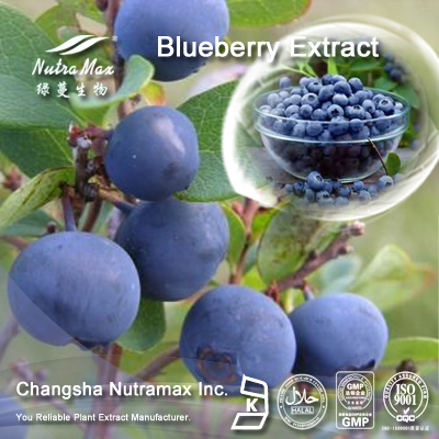 Blueberry Extract Juice 65 Brix(sales06@nutra-max.com)