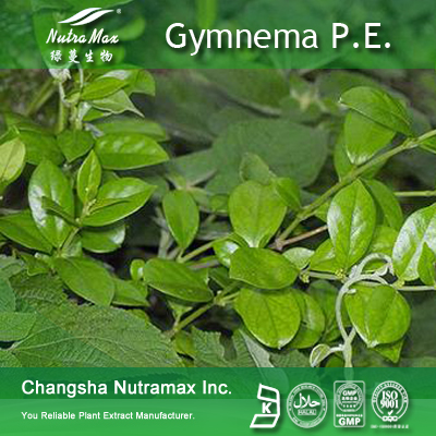 Gymnema Silvestre P.E.(sales06@nutra-max.com)