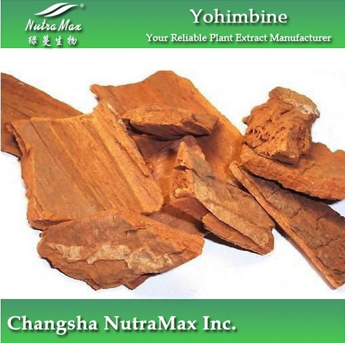 Yohimbine P.E. 98% Yohimbines HCL(sales06@nutra-max.com)