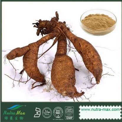 Kudzu Root extract(sales06@nutra-max.com)