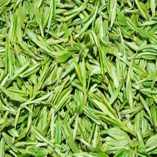 Green Tea P. E. 30% L- Theanine(sales06@nutra-max.com)