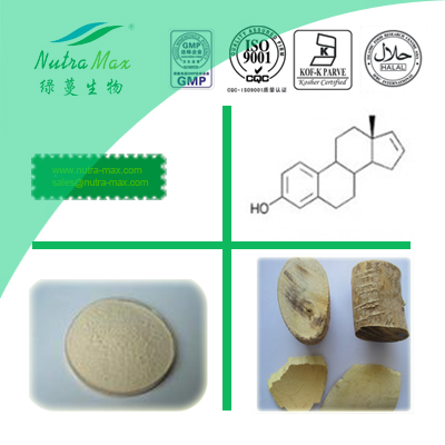 Eurycoma (Longjack)Powder Extract 100:1(sales06@nutra-max.com)