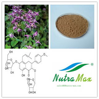 Horny Goat Weed Extract(sales06@nutra-max.com)