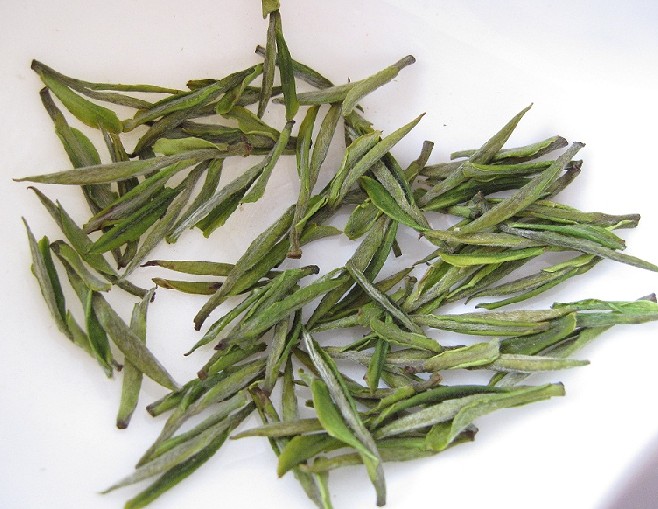 white tea Extract(sales06@nutra-max.com)