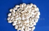 White Kidney Bean Extract(sales06@nutra-max.com)