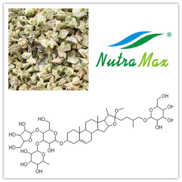 Tribulus Terrestris Extract(sales06@nutra-max.com)
