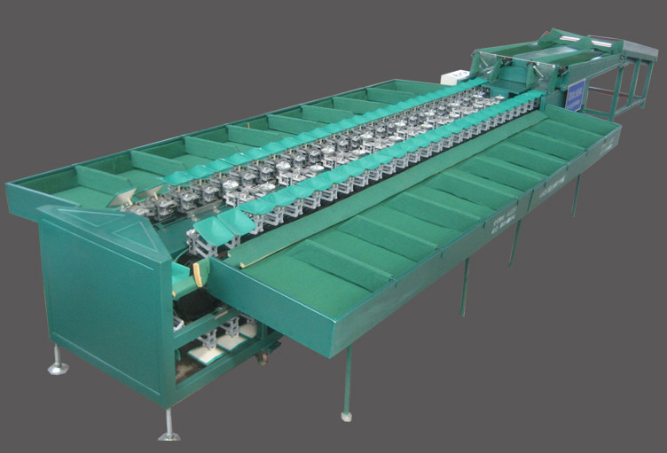 Double Line Fruit Sorting Machine