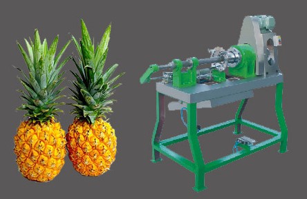 Pineapple Peeling and Coring Machine