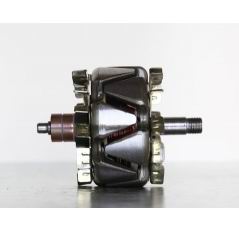 Automobile Generator Stator Assembly 