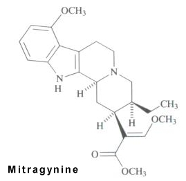 kratom extract mix alkaloids with 7-Hydroxymitragynine,mitragynine ,Pseudoindoxyl 
