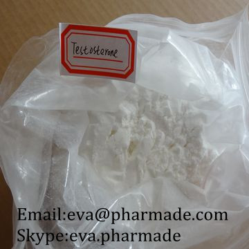 Testosterone Pure steroid powder supplier in China 