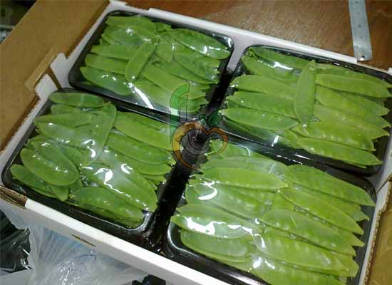 Egyptian Snow Peas & quot;Mangetout& quot;