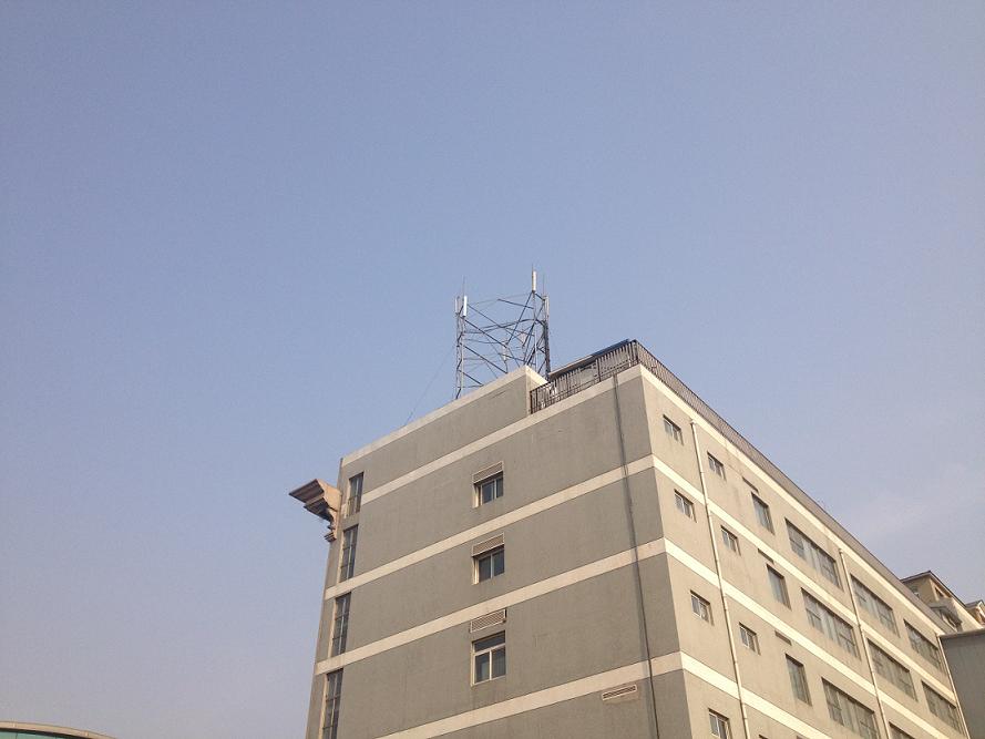 Roof mounts and roof top structure