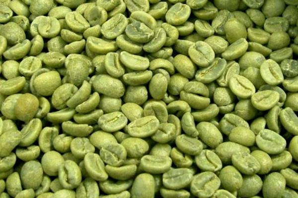 Green Coffee Bean Extract