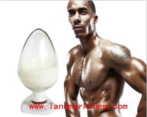 steroid ,pharmaceutical hormone Testosterone Isocaproate   skype:justsadira