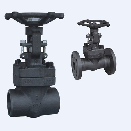 Forged Steel Flanged Wedge Gate Valve