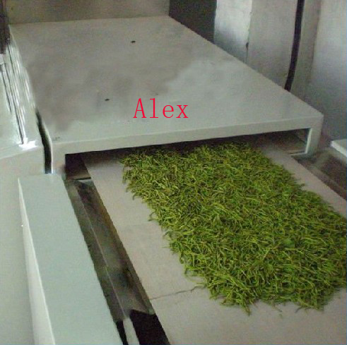 Conveyor belt continuous tunnel type green leaves drying machine 