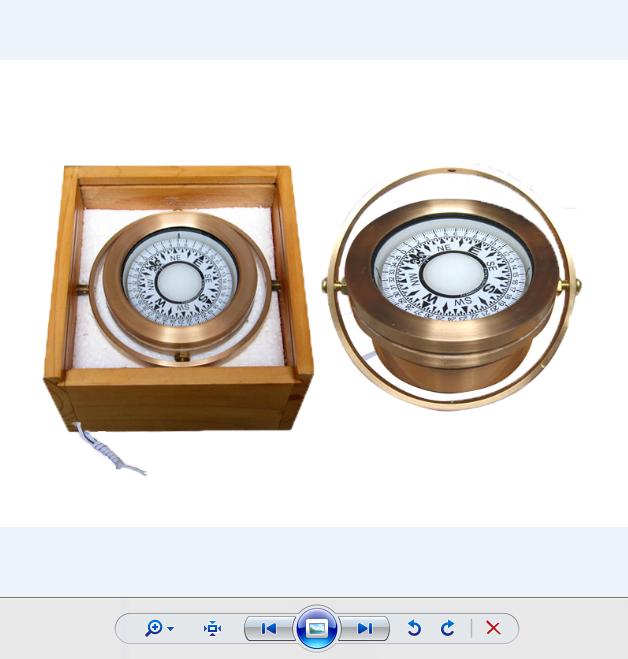 Marine Magnetic Compass