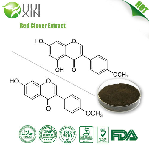 Red clover Extract 8% 20% 40%