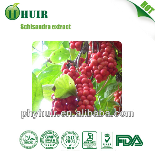 Schisandra Chinensis P.E.Schisandrin A/B 1%