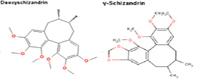 Schisandra Chinensis P.E.Schisandrins 9% 