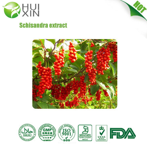 Schisandra Chinensis P.E.8%
