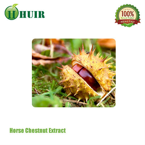 Horse Chestnut P.E.20%