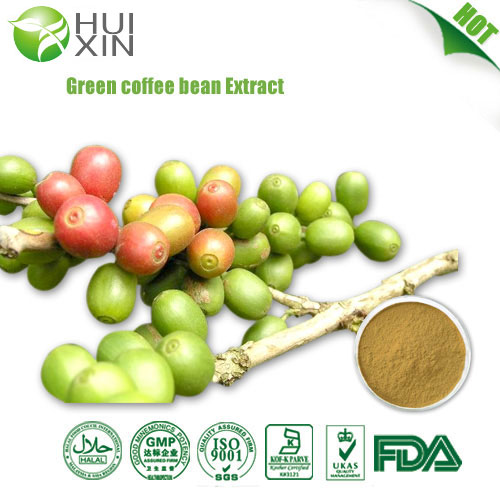 Green coffee bean extract 20%,30%,50%?