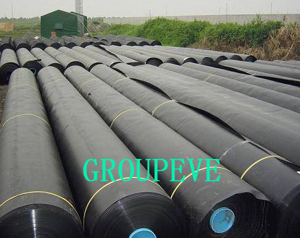 HDPE Geomembrane,LDPE Geomembrane