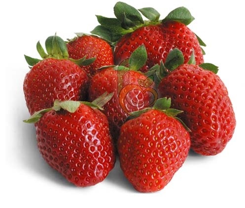 Egyptian Fresh Fortuna Strawberry by Fruit Link 