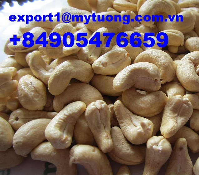 Vietnam cashew nuts for sell skype: saraphan.hk