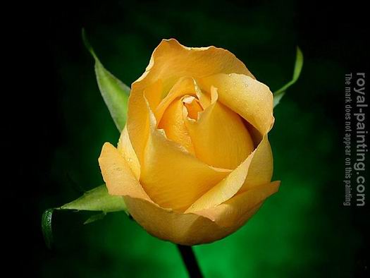 Still life oil painting/oil painting reproduction/canvas oil painting