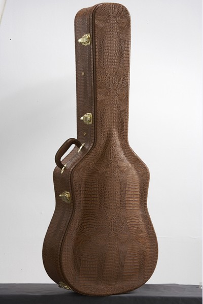 colorful guitar hard case 