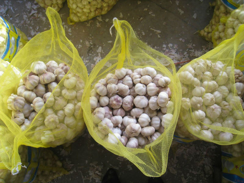 Vietnam garlic good price skype: visimex02