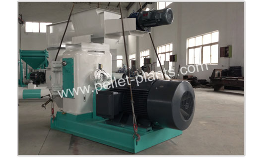 Ring Die Wood Pellet Machine