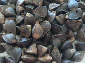 Organic Buckwheat, cleaned grains with Husk.